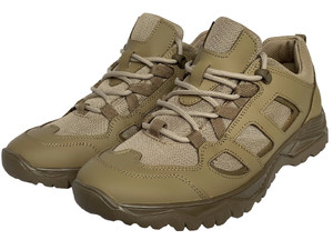 Кросівки Explorer Sand